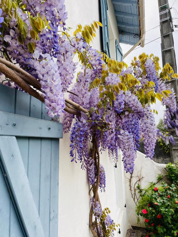 La Poterie Bed & Breakfast Carresse Eksteriør bilde